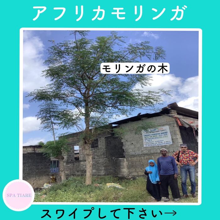 画像1482