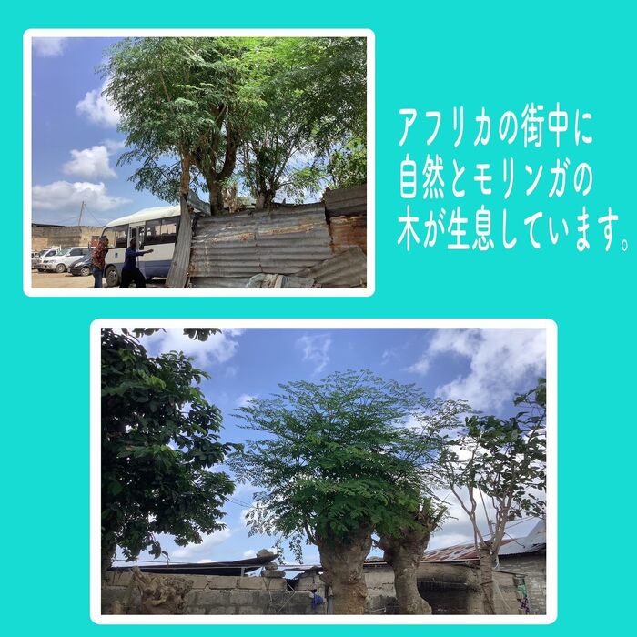 画像1483